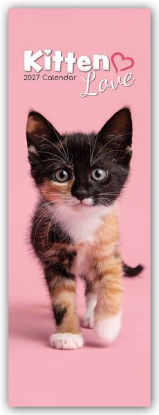 Kitten Love - Geliebte Kätzchen - Slimline-Kalender 2027