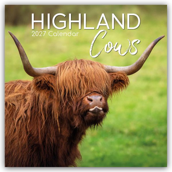 Highland Cows - Hochland-Kühe - Hochlandrinder 2027 - 16-Monatskalender
