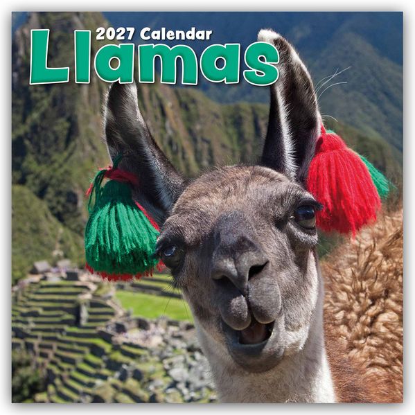 Llamas - Lamas 2027 - 16-Monatskalender