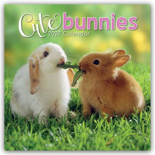 Cute Bunnies - Niedliche Kaninchen 2027 - 16-Monatskalender