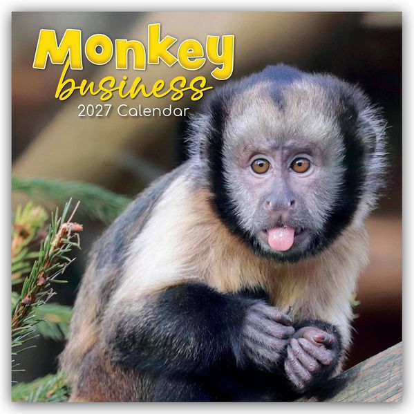 Monkey Business 2027 - 16-Monatskalender
