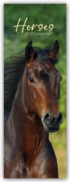 Horses - Pferde - Slimline-Kalender 2027