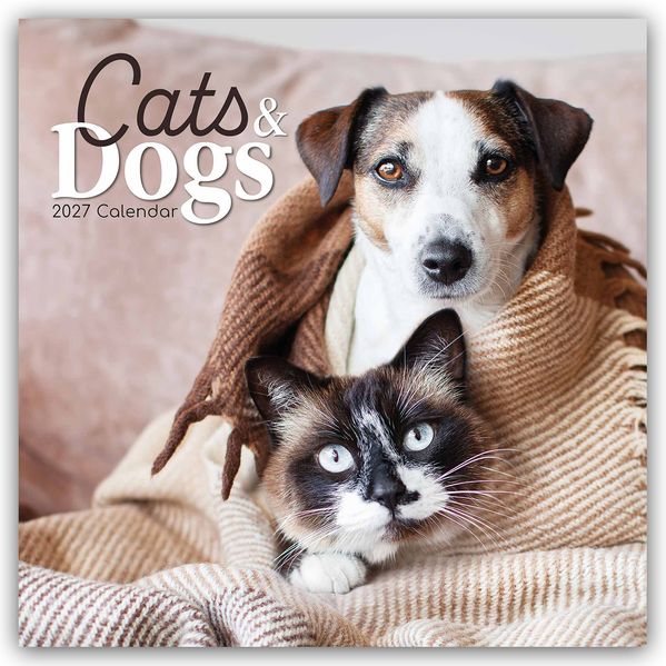 Cats and Dogs - Katzen und Hunde 2027 - 16-Monatskalender