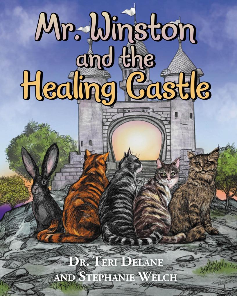 Mr. Winston and the Healing Castle