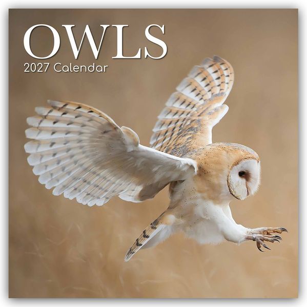 Owls - Eulen 2027 - 16-Monatskalender