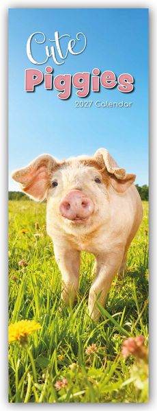 Cute Piggies - Süße kleine Schweinchen - Slimline-Kalender 2027