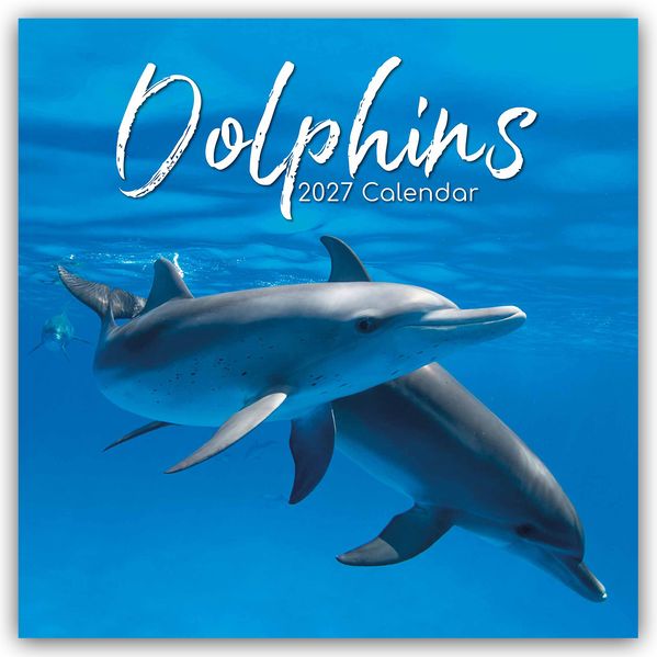 Dolphins - Delfine - Delphine 2027 - 16-Monatskalender