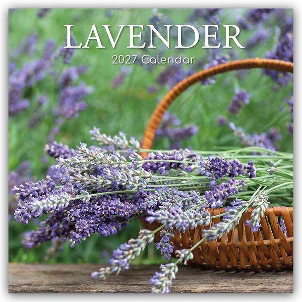 Lavender - Lavendel 2027 - 16-Monatskalender