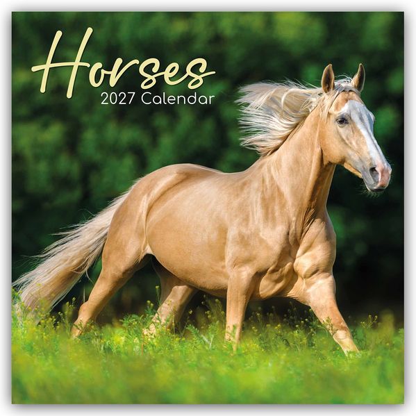 Horses - Pferde 2027 - 16-Monatskalender