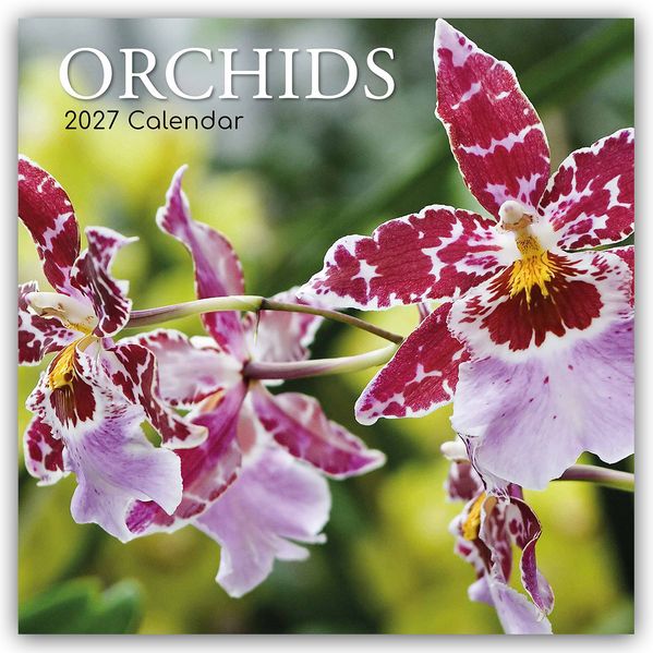Orchids - Orchideen 2027 - 16-Monatskalender