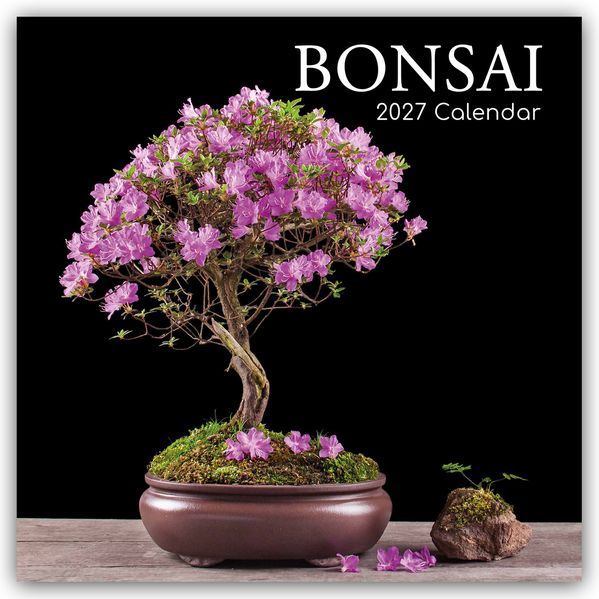 Bonsai - Bonsaibäume 2027 - 16-Monatskalender