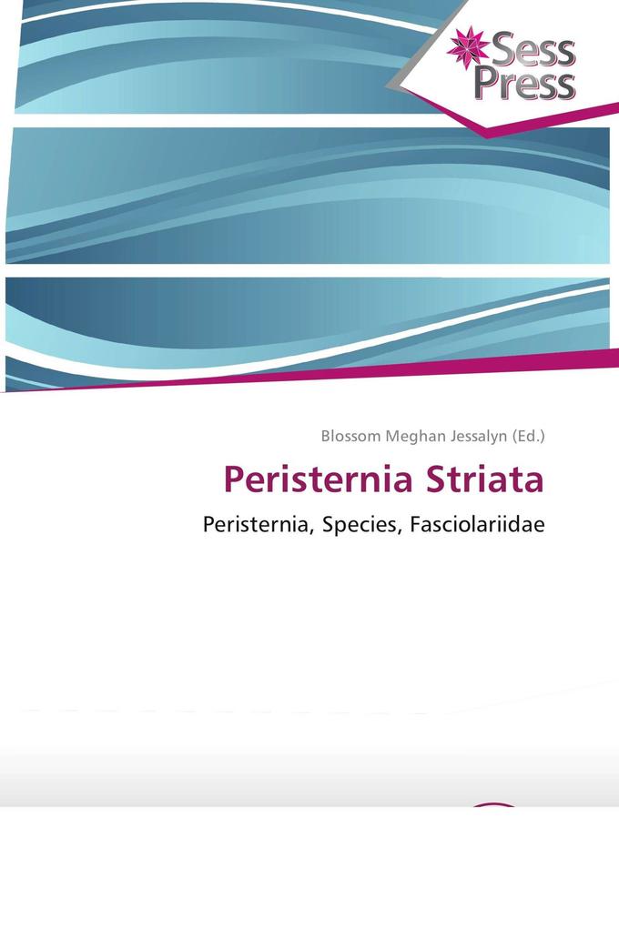 Peristernia Striata