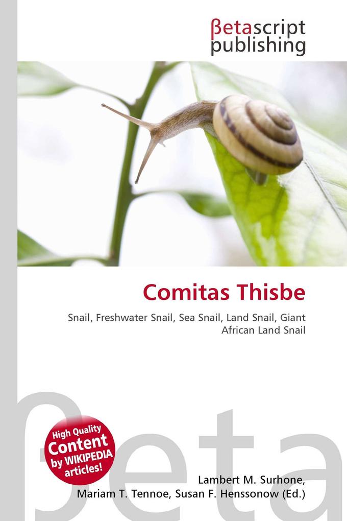 Comitas Thisbe