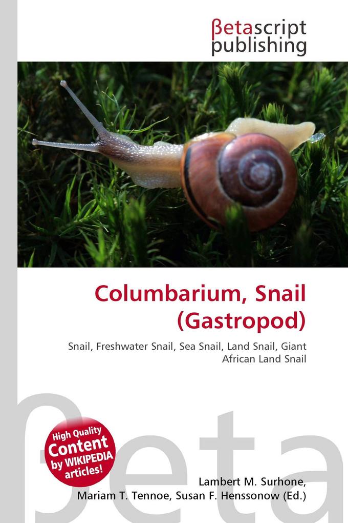 Columbarium Snail (Gastropod)