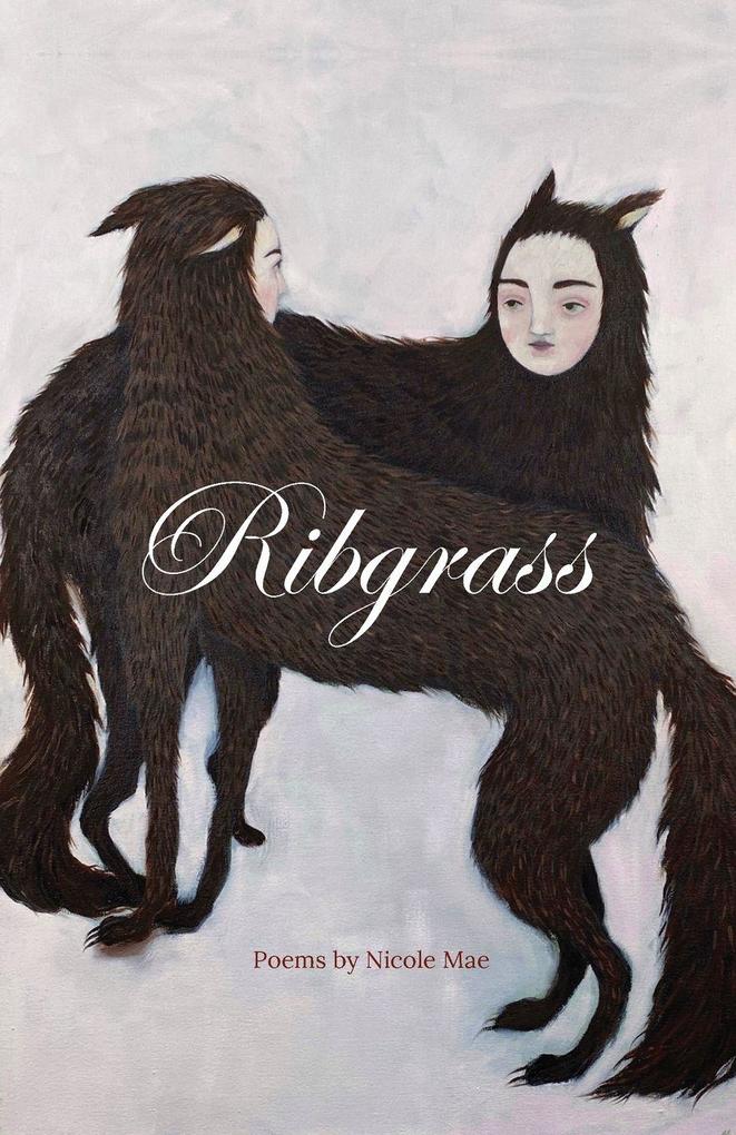 Ribgrass