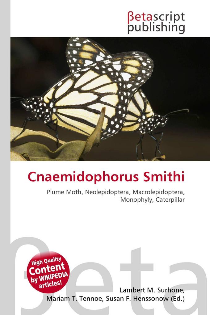 Cnaemidophorus Smithi
