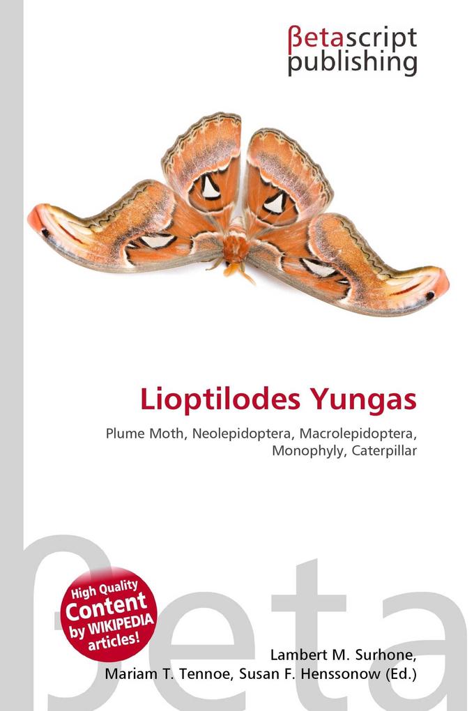 Lioptilodes Yungas