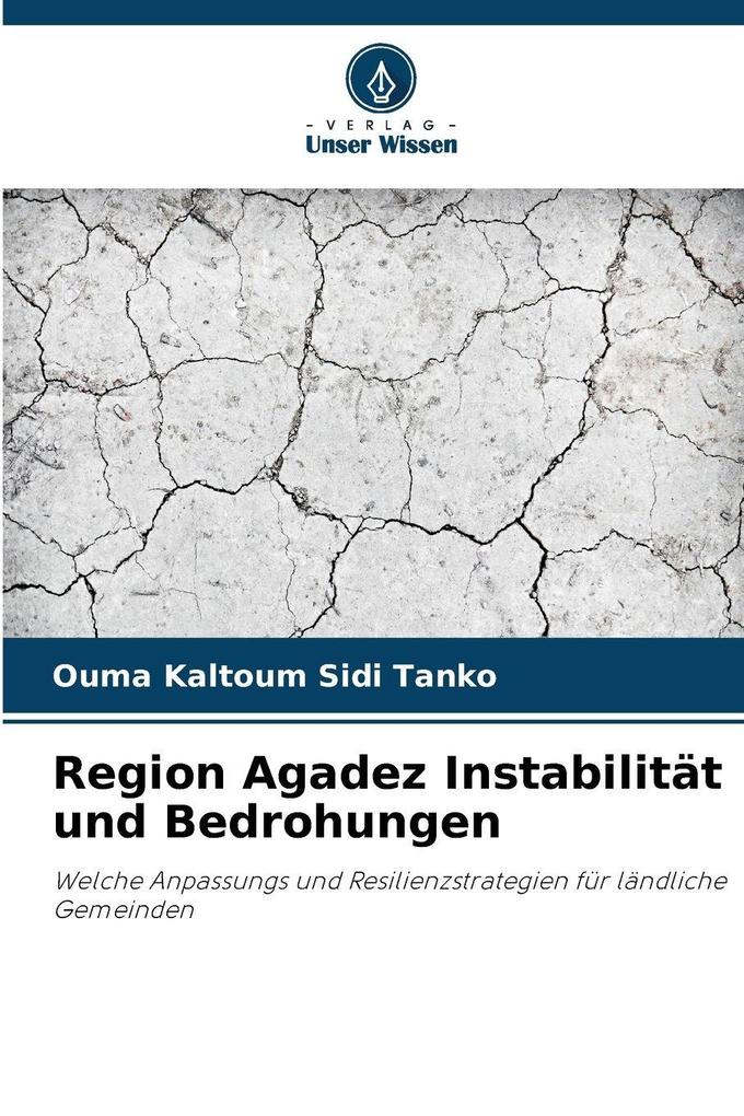Region Agadez Instabilität und Bedrohungen