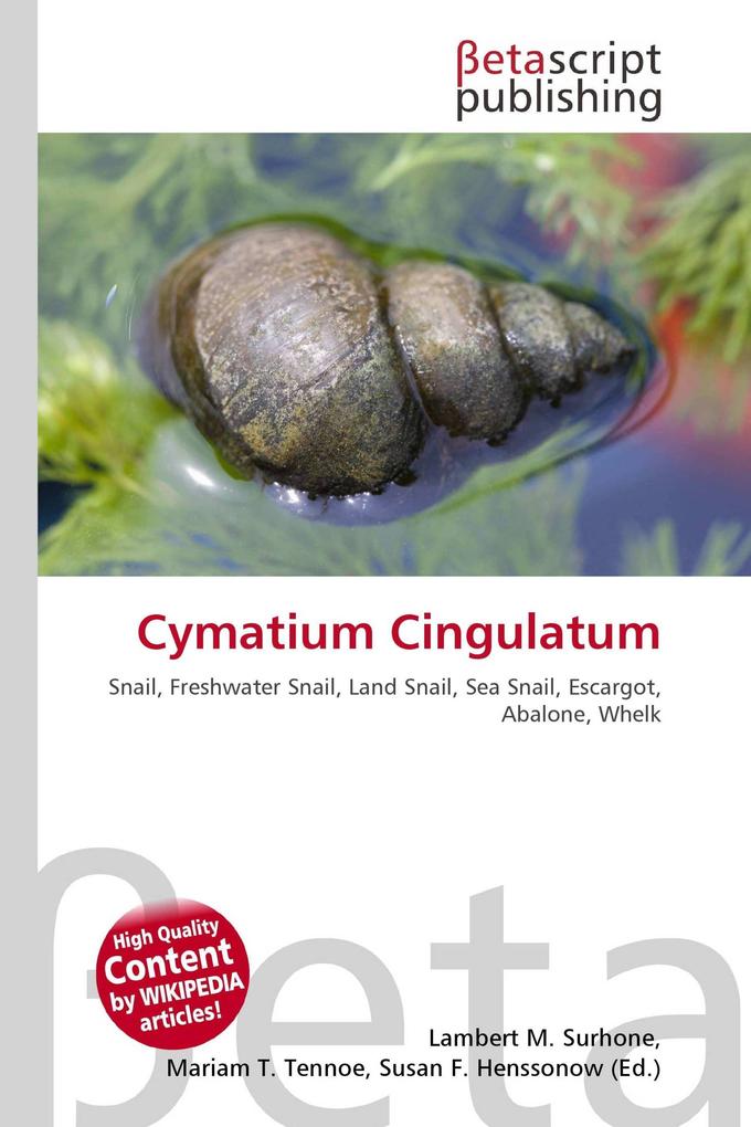 Cymatium Cingulatum