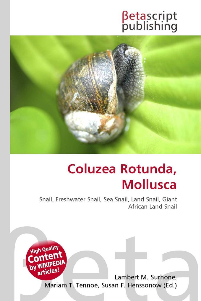 Coluzea Rotunda Mollusca