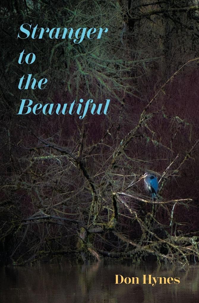 Stranger to the Beautiful