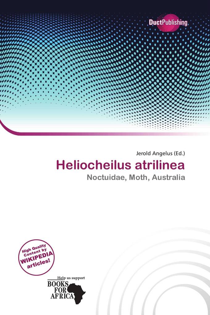 Heliocheilus atrilinea