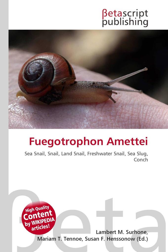 Fuegotrophon Amettei