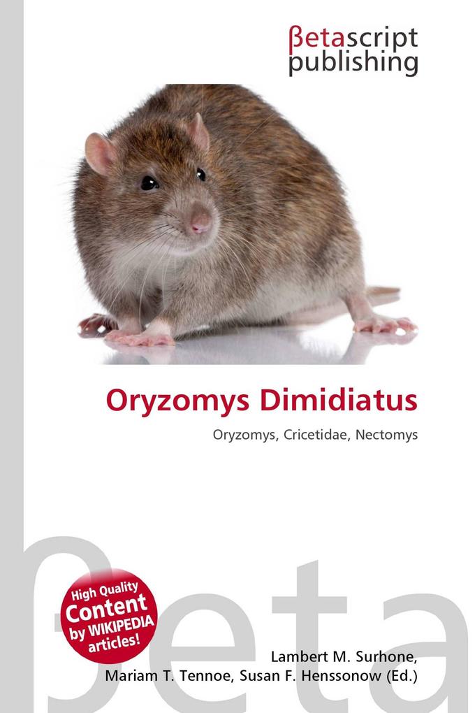 Oryzomys Dimidiatus