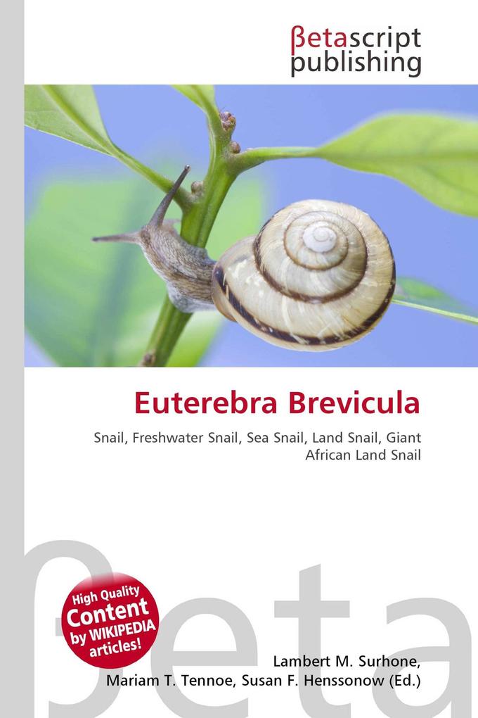 Euterebra Brevicula