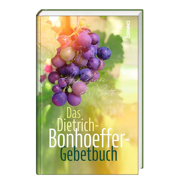 Ich danke dir Gott