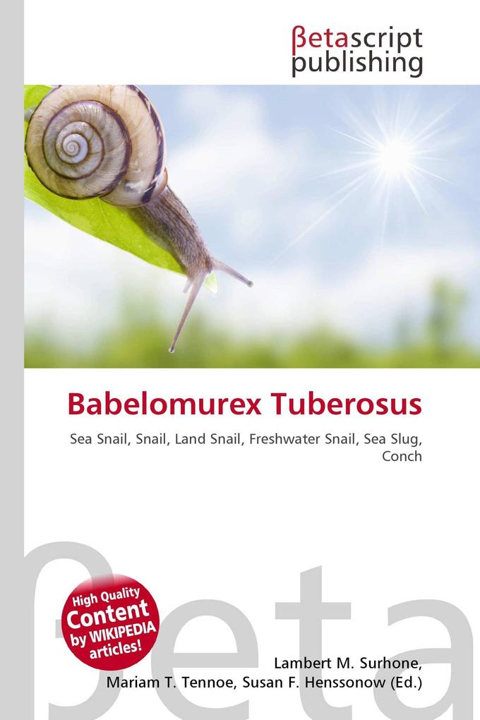 Babelomurex Tuberosus