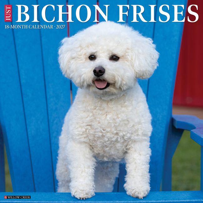 Bichon Frises 2027 12 X 12 Wall Calendar