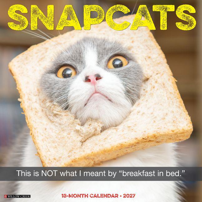 Snapcats 2027 12 X 12 Wall Calendar