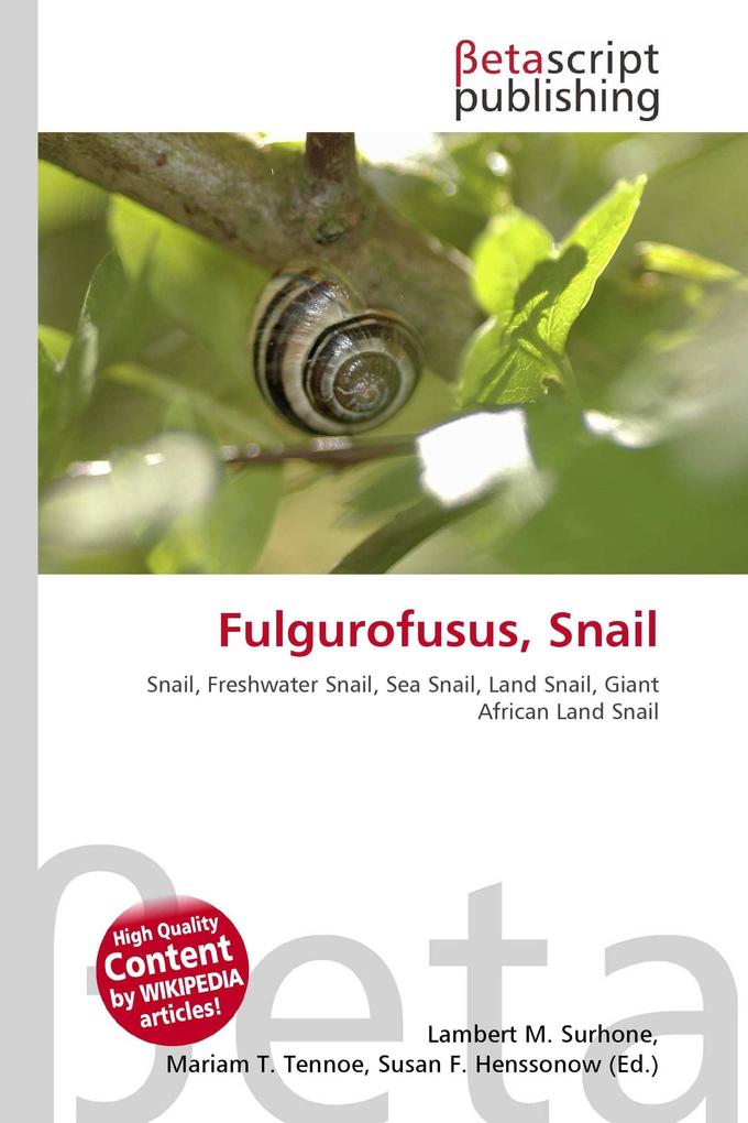 Fulgurofusus Snail