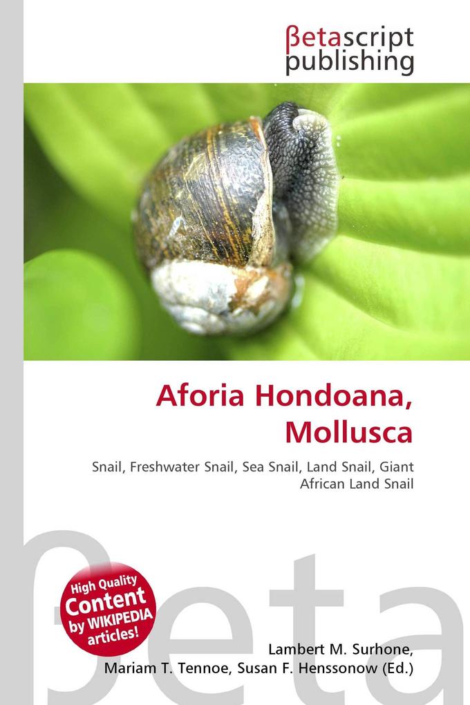 Aforia Hondoana Mollusca