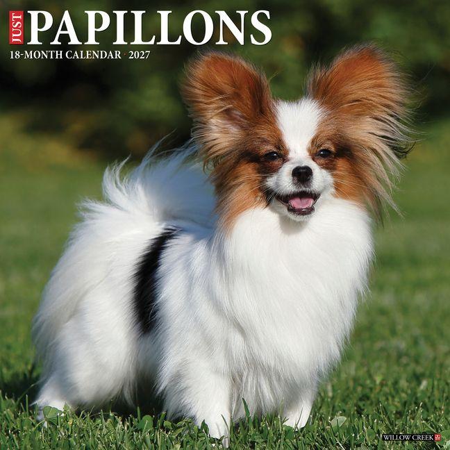 Papillons 2027 12 X 12 Wall Calendar