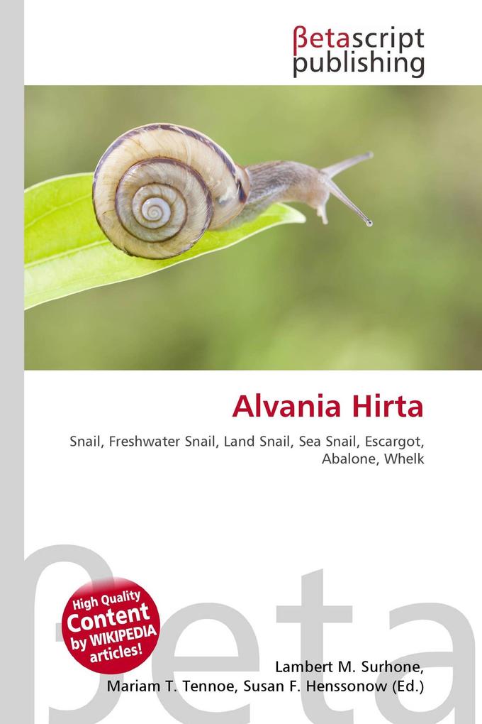 Alvania Hirta