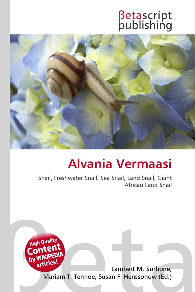 Alvania Vermaasi