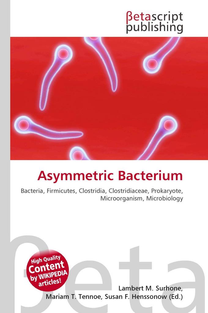 Asymmetric Bacterium
