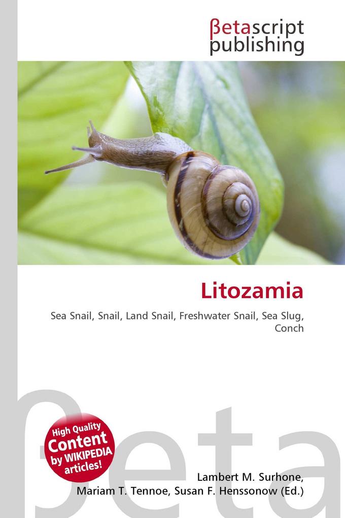 Litozamia