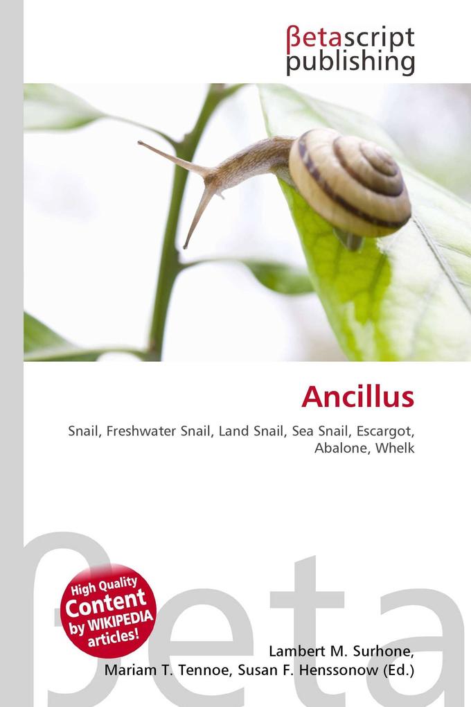 Ancillus