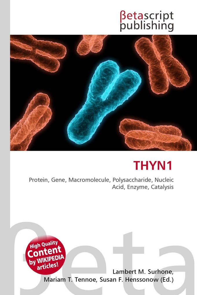THYN1