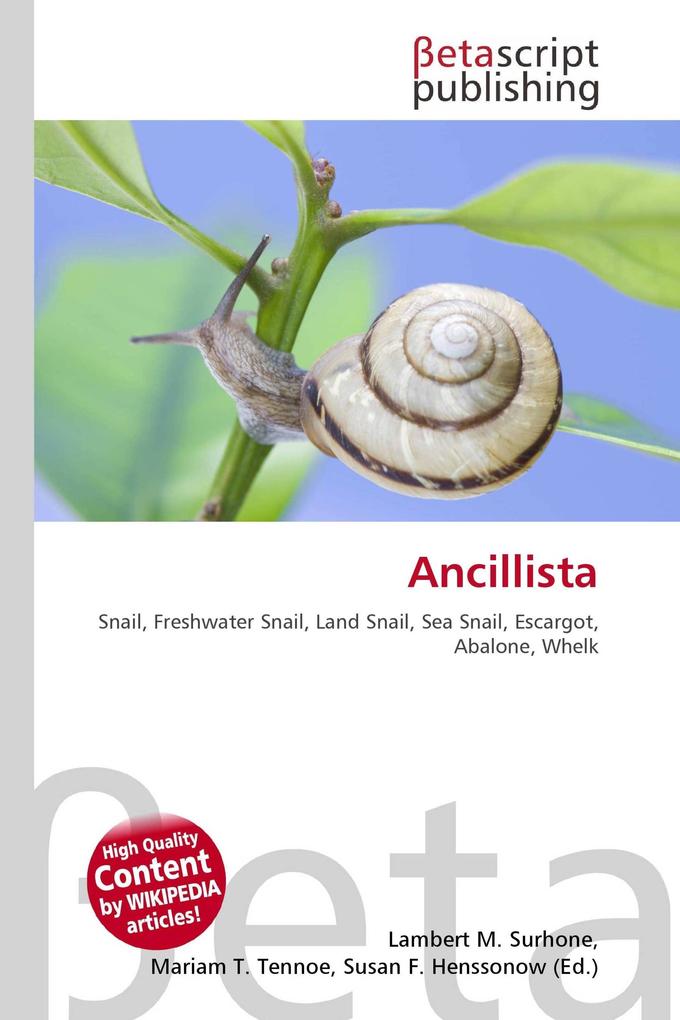 Ancillista