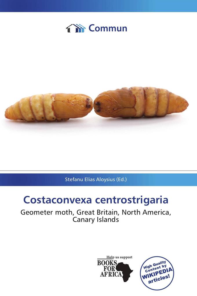 Costaconvexa centrostrigaria