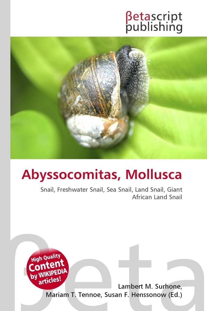 Abyssocomitas Mollusca