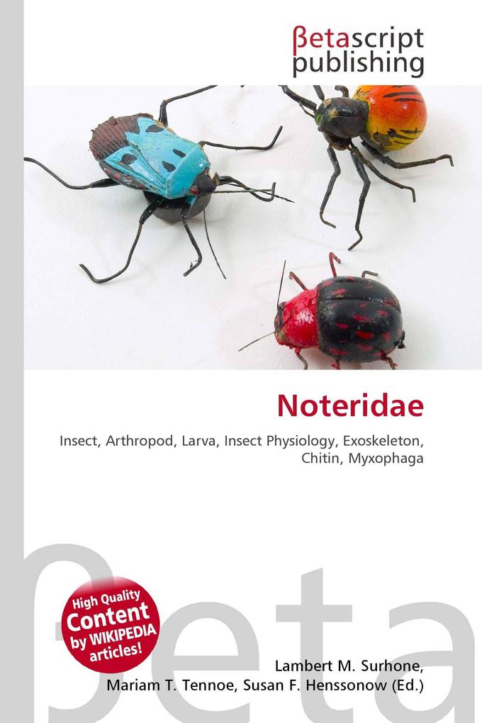 Noteridae