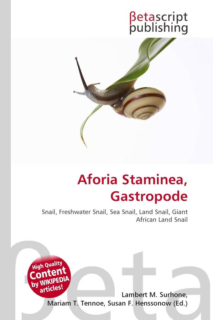 Aforia Staminea Gastropode