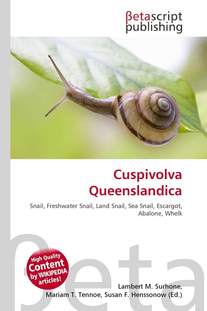 Cuspivolva Queenslandica