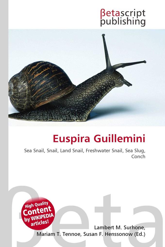 Euspira Guillemini