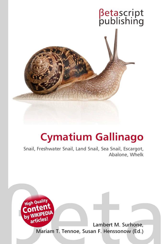 Cymatium Gallinago